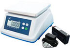 ACS Series L2 Type Electronic Weighing Scale