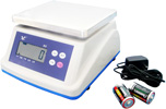 ACS Series L3 Type Electronic Weighing Scale